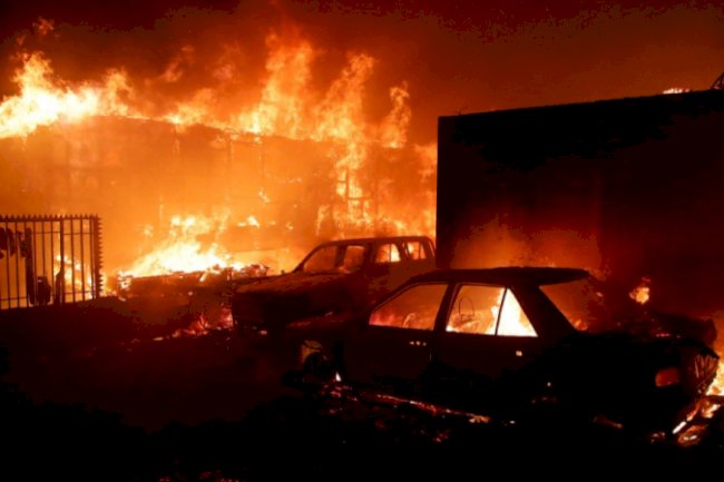 Sobe para 51 o número de mortos por incêndios florestais no Chile